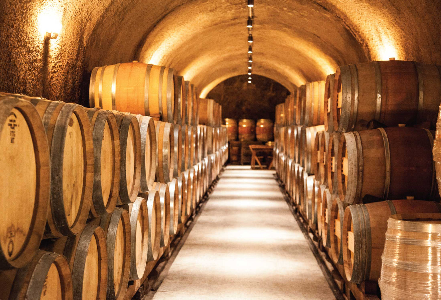 Wine barrels in the cellar. 