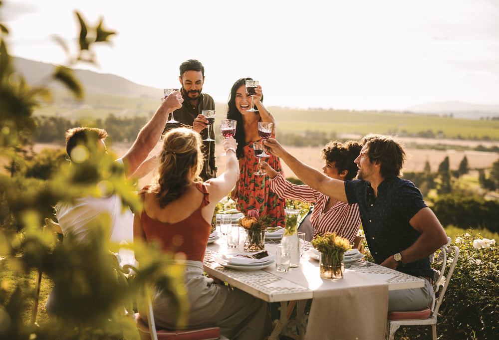 Friends toasting with CHÂTEAU NAPA wine.  